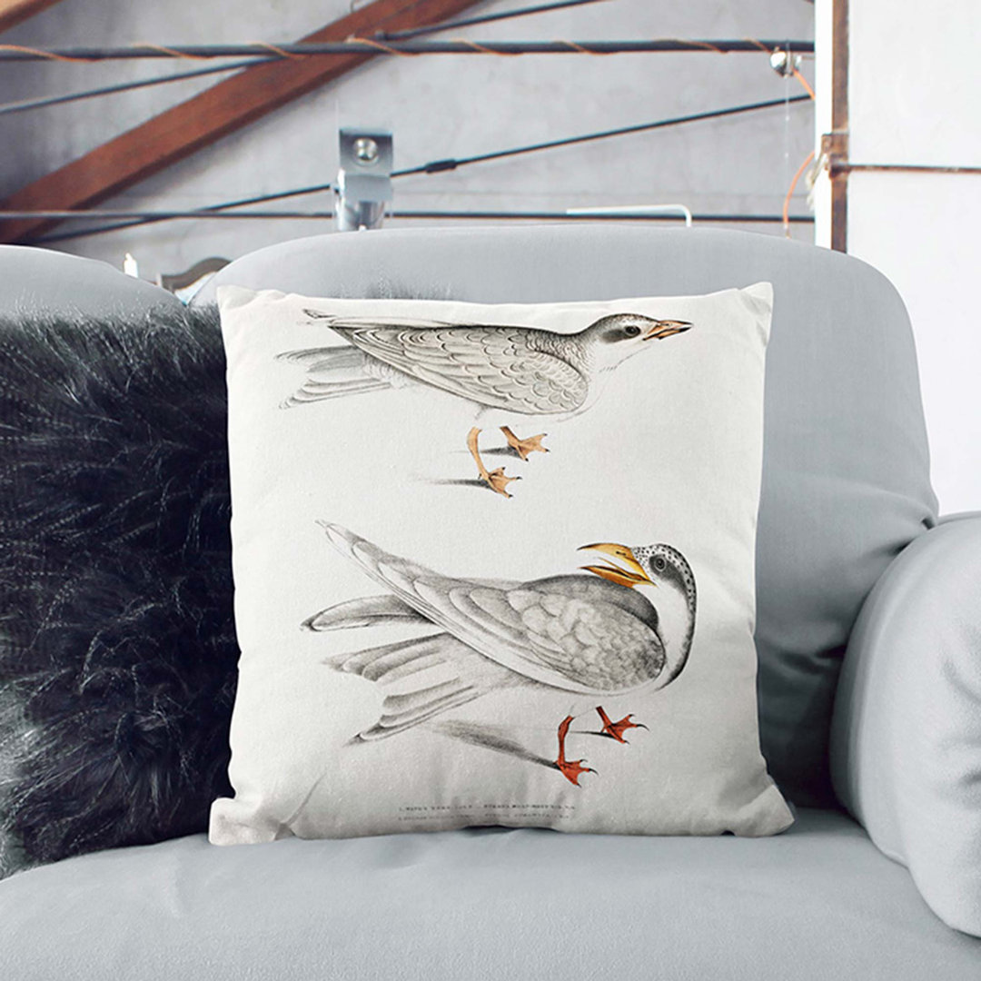 Illustration of Tern Birds by John Edward Gray Cushion with Filling