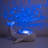Tranquil Whale - Rechargeable-105636881