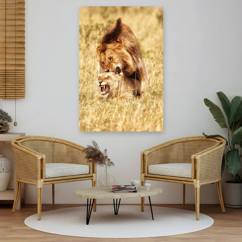 Savanna Lions Mating Contemporary Cat Lion Nature Wildlife Wall Art Print, 152.4cm H x 101.6cm W