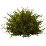 7.5'' Faux Cedar Topiary