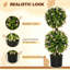 90cm Plant