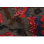 Ankara FW Grey Kilim 5'2" x 8'2"