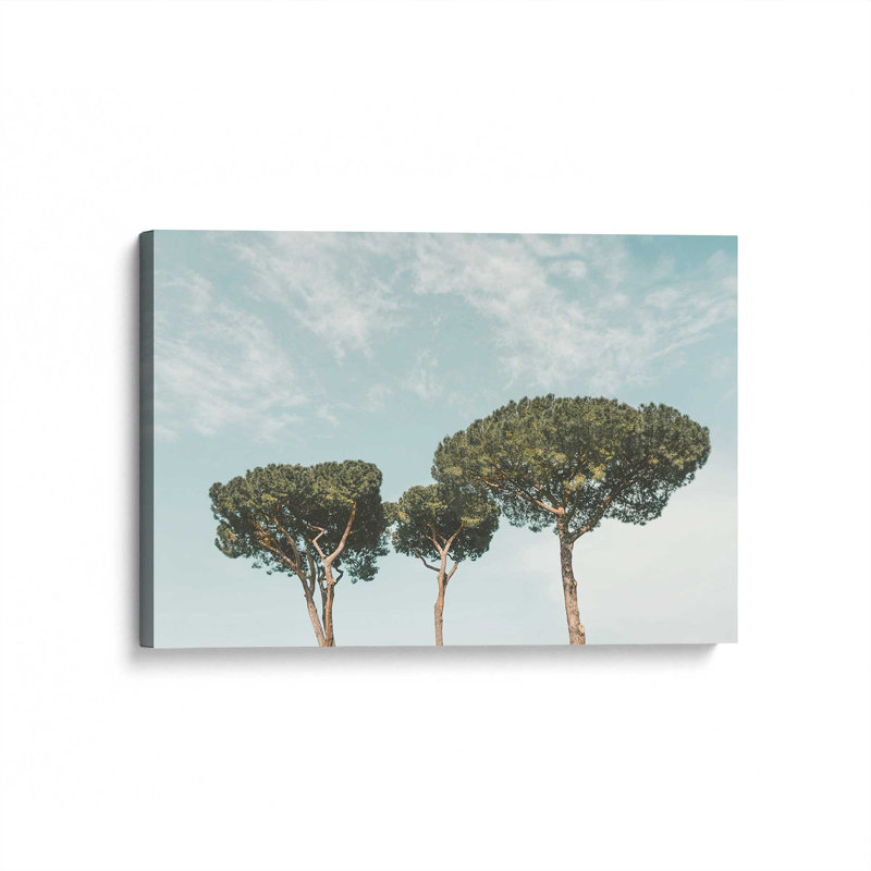«Tall Tranquility», reproduction sur toile, H 12 po x l 18 po x P 1,25 po, Toile tendue