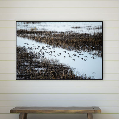 « troupeau », reproduction de photo sur toile