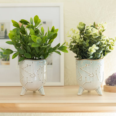Ensemble 2 pièces d'eucalyptus artificiel en pot