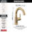 Trinsic Single Hole Bathroom Faucet with Drain Assembly, Single Handle Bathroom Sink Faucet-335381034