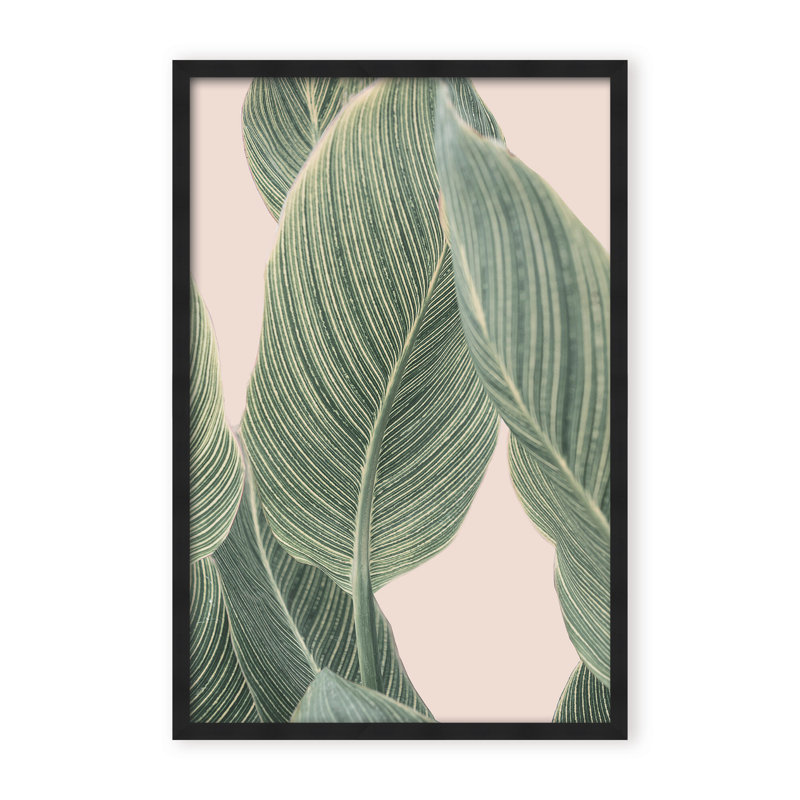 Coastal Retreat Calla Leaf by  - Picture Frame Graphic Art on Paper, 24" H x 16" W x 1.125" D, Framed Matted Print, Beige