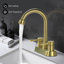 2-handle Bathroom Faucet with Drain Assembly-90763949