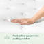 9" Plush Hybrid Mattress - Sleep by Wayfair™-565291865-619620428