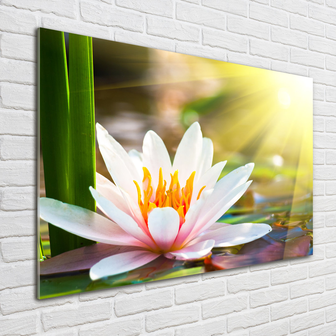 Glasbild Water Lily