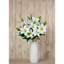 Anastasija Arrangement