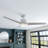 52 inch Malden Ceiling Fan with LED Light Kit and Handheld Remote-114604148-114604147