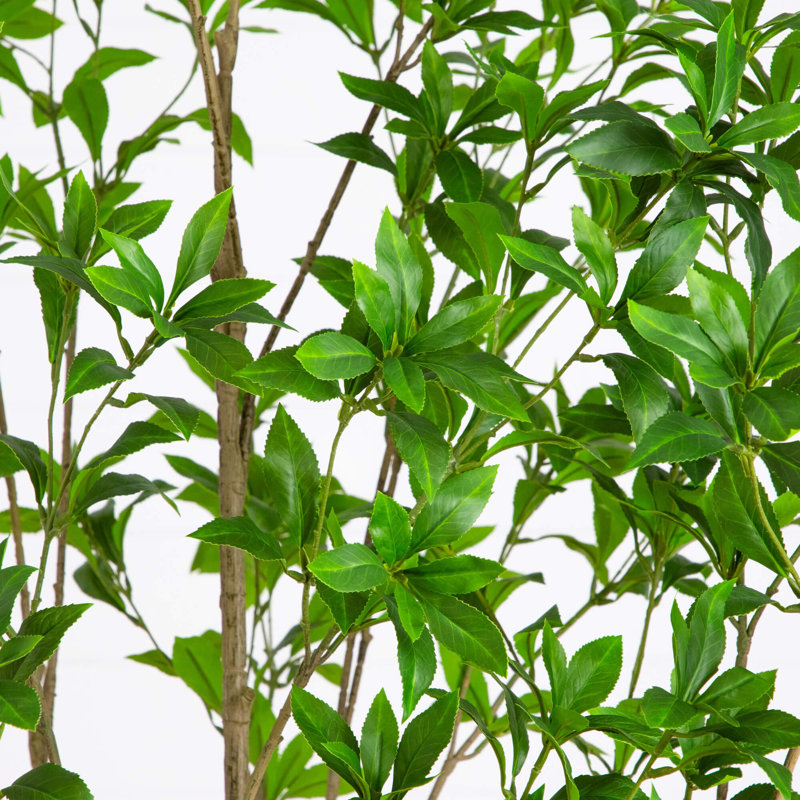8 pi. Pieris japonais artificiel minimaliste