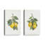 «Lemon Harvest», ensemble de 2, reproduction sur toile-1936423975-1936423977