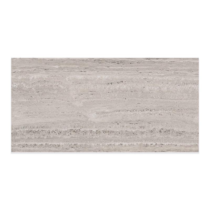 Colosseum Matte 24x48 (15.5 Sq. Ft./Case), Gray