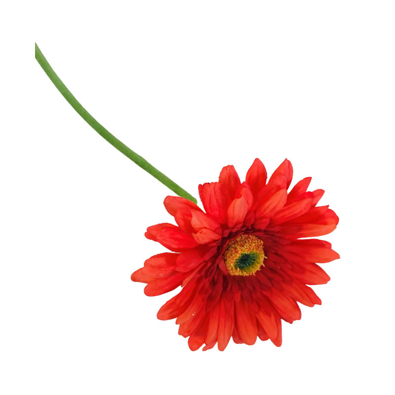 Arrangement floral, Orange