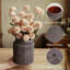 Ensemble de décoration rustique pour salon, table basse et style maison de campagne