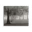 «Tranquil Foggy Trees Field Mon monochrome Design» par Nicholas Bell - photographie-70549131-70549123