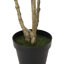 Eucalyptus artificiel pissenlit en pot