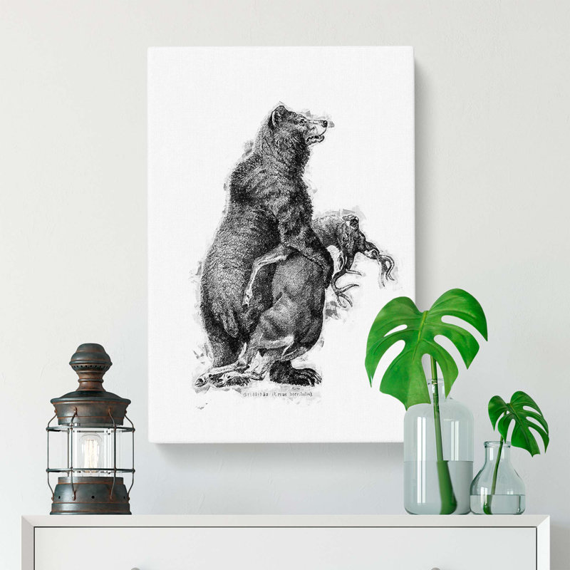 Grizzly Bear and Stag Illustration in Black and White - Wrapped Canvas, 60cm H x 40cm W x 3cm D