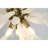 Emmy Murano Round Chandelier-91854578-131066383-91854581