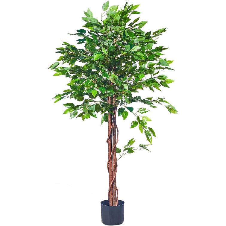 Primrue 51'' Faux Ficus Tree in Pot - Wayfair Canada