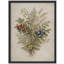 Berry and Foliage Botanical Framed Wall Art Prints - Natural Herb Design for Kitchen Dining Room-125120595-125120597
