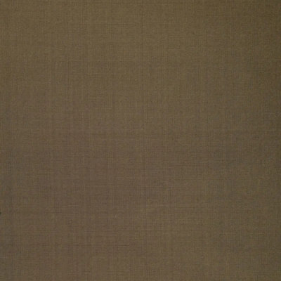 Anniston Silk Taffeta Fabric