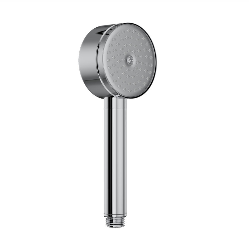 Zephyr® Rain Handheld Shower Head, Polished Chrome