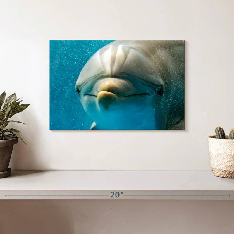 Brampt Nosy Dolphin, 8" H x 12" W