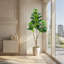 Tree-909331372