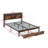 Metal and MDF Constructed King Size Platform Bed With Built-In Charging Station and Under-Bed Storage, Classic Black