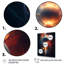 Merveilles universelles orange bleues sur toile-986976263-986976284