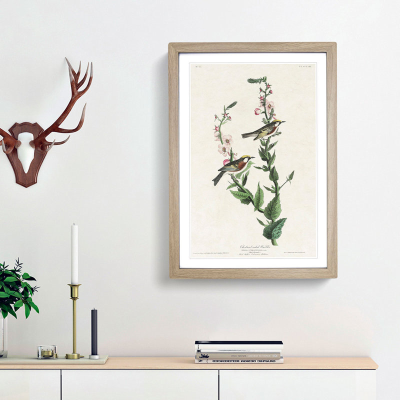 Chestnut-sided Warbler by John Audubon - Picture Frame Painting Print, 48cm H x 36cm W x 2cm D, Oak Framed