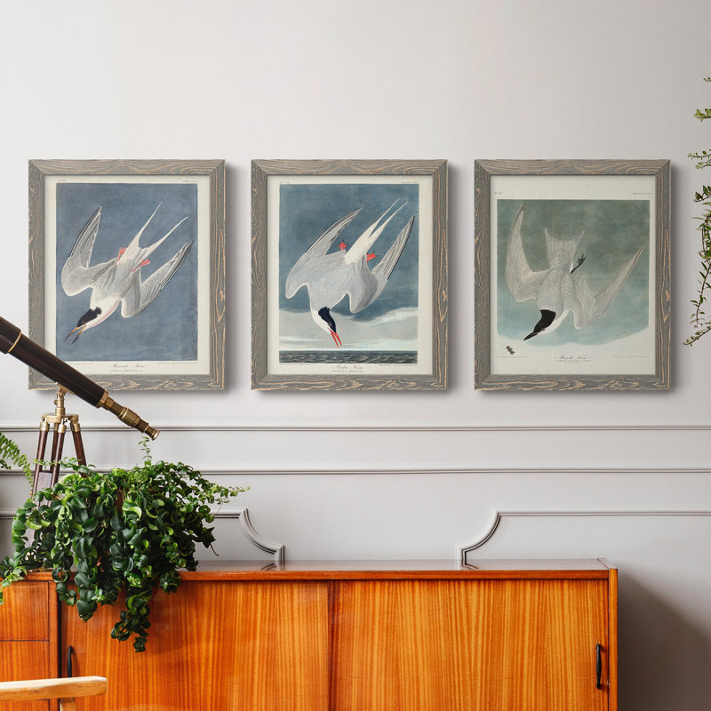 Pl 240 Roseat Tern - Ensemble de 3 peintures sur toile encadrées, Gris, H 20 po x l 51 po x P 1,5 po