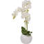 80cm Faux Plant in Cement Pot