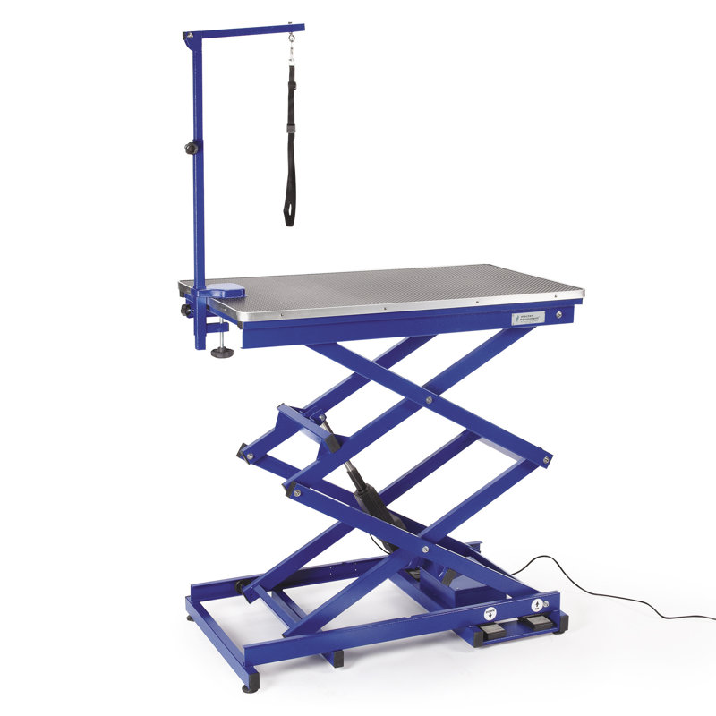 X- Tendance Table De Toilettage électrique, Bleu