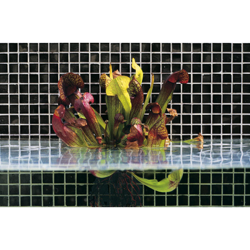 Black 5/8" x 5/8" Glass Mosaic