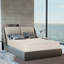 PlushBeds Botanical Bliss  Medium Organic Latex Mattress-49620918-111089443