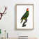 Red-Lored Amazon Parrot by F. Levaillant - Picture Frame Painting Print