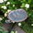Aspen Leaf Birdbath with Rail Mount Bracket