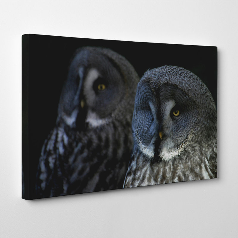 Wrapped Canvas Print, 35cm H x 50cm W