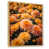 Cadre naturel flottant