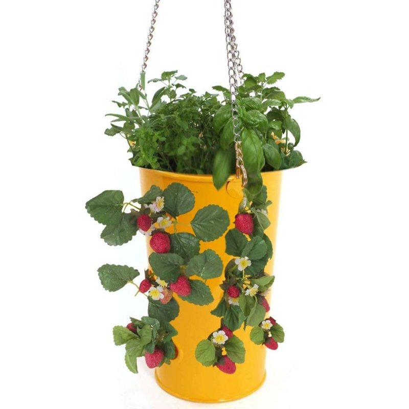 Pot à fleurs en acier galvanisé Kieth, Safran