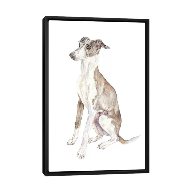 «Italian Greyhound», reproduction sur toile, H 26 po x l 18 po x P 1,5 po, Pas de tapis, Toile avec cadre noir
