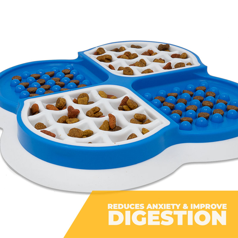 Bol à alimentation lente avec ventouse