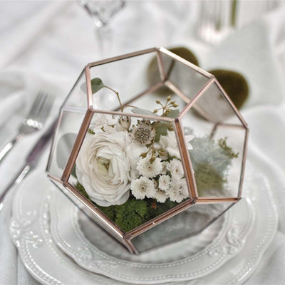 Randalia Terrarium