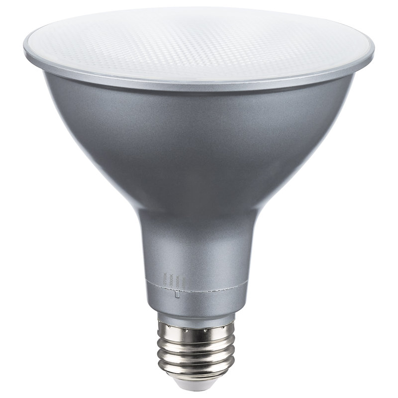 19 Watt Silver Bulb