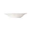 Impressions Fine Stoneware Pasta Plate
