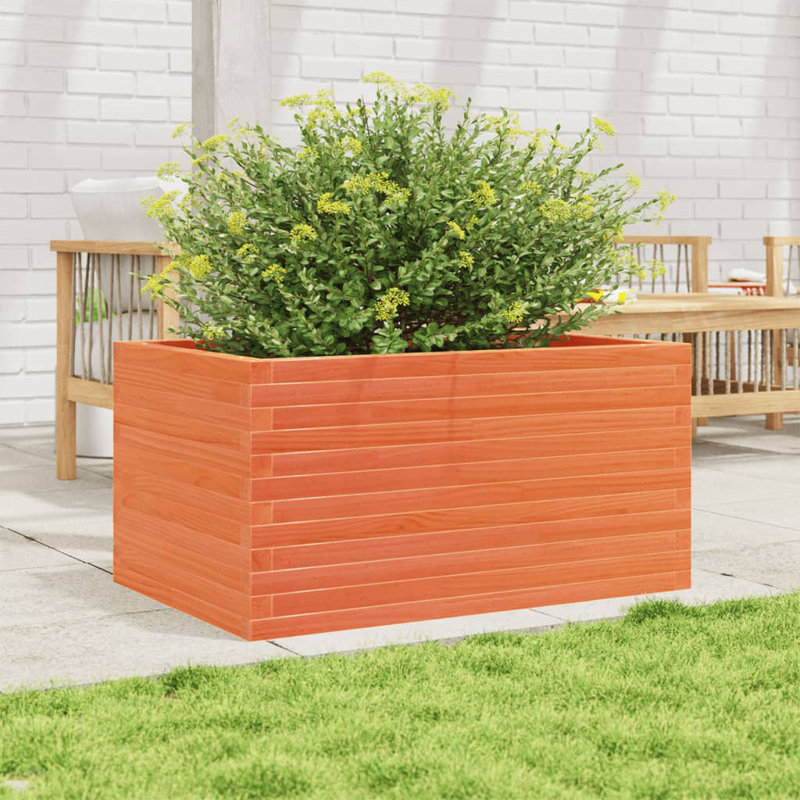 Bois de pin vidaXL, H 18,1 po x l 35,4 po x P 23,6 po, Brun cire